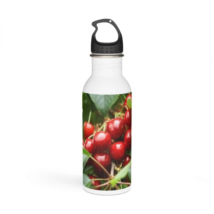 Stainless Steel Water Bottle - Image 2