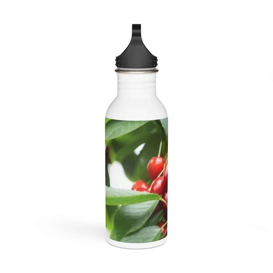Stainless Steel Water Bottle - Image 3