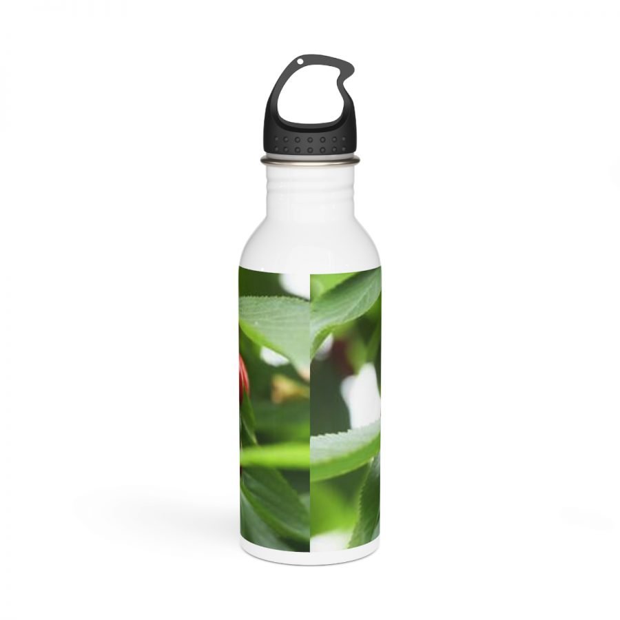 Stainless Steel Water Bottle - Image 4