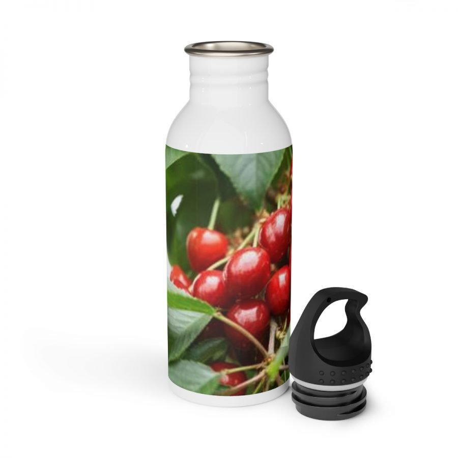 Stainless Steel Water Bottle - Image 5