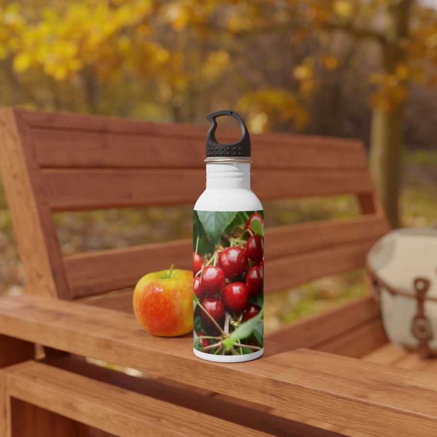 Stainless Steel Water Bottle - Image 6