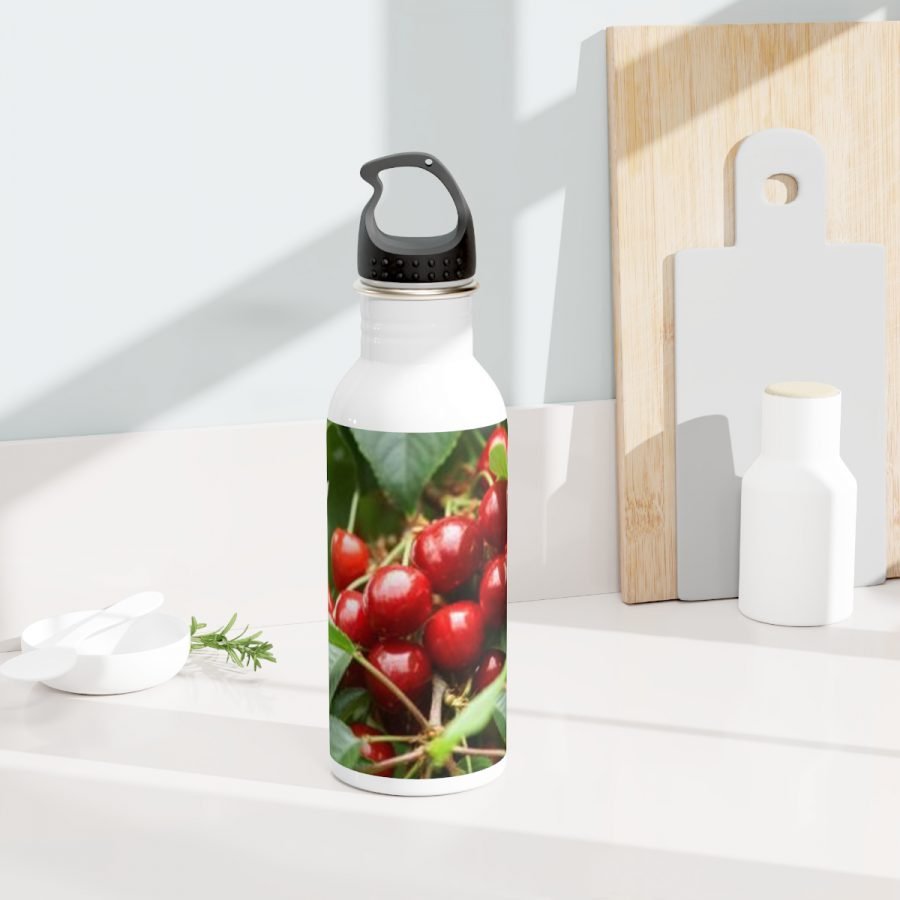 Stainless Steel Water Bottle - Image 8