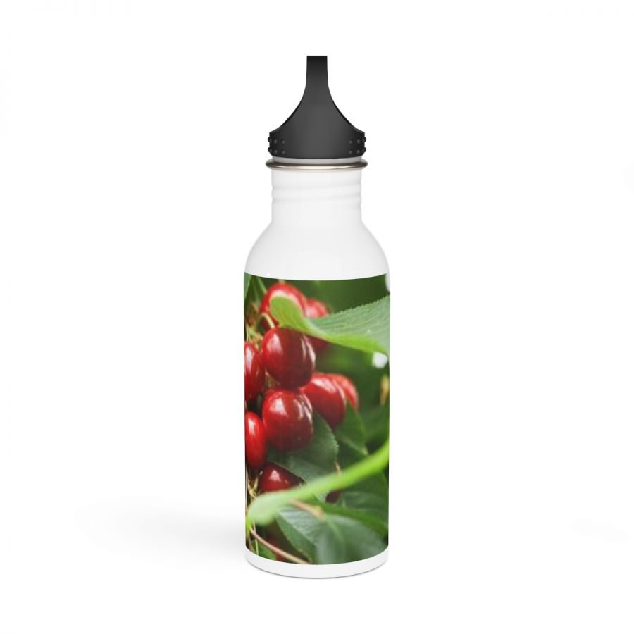 Stainless Steel Water Bottle